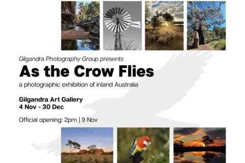 As The Crow Flies Exhibition Opening